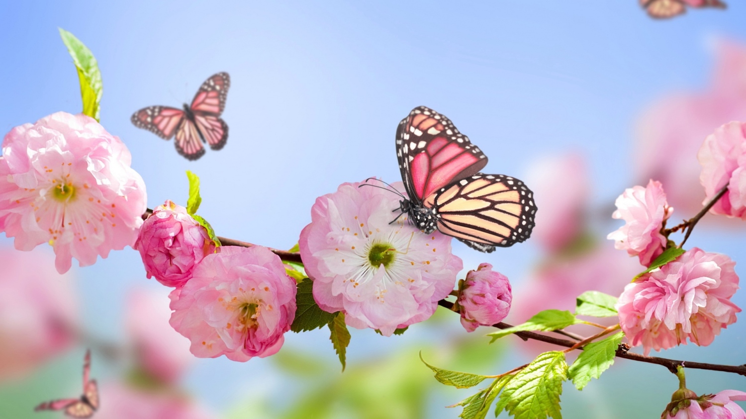 Spring has sprung!