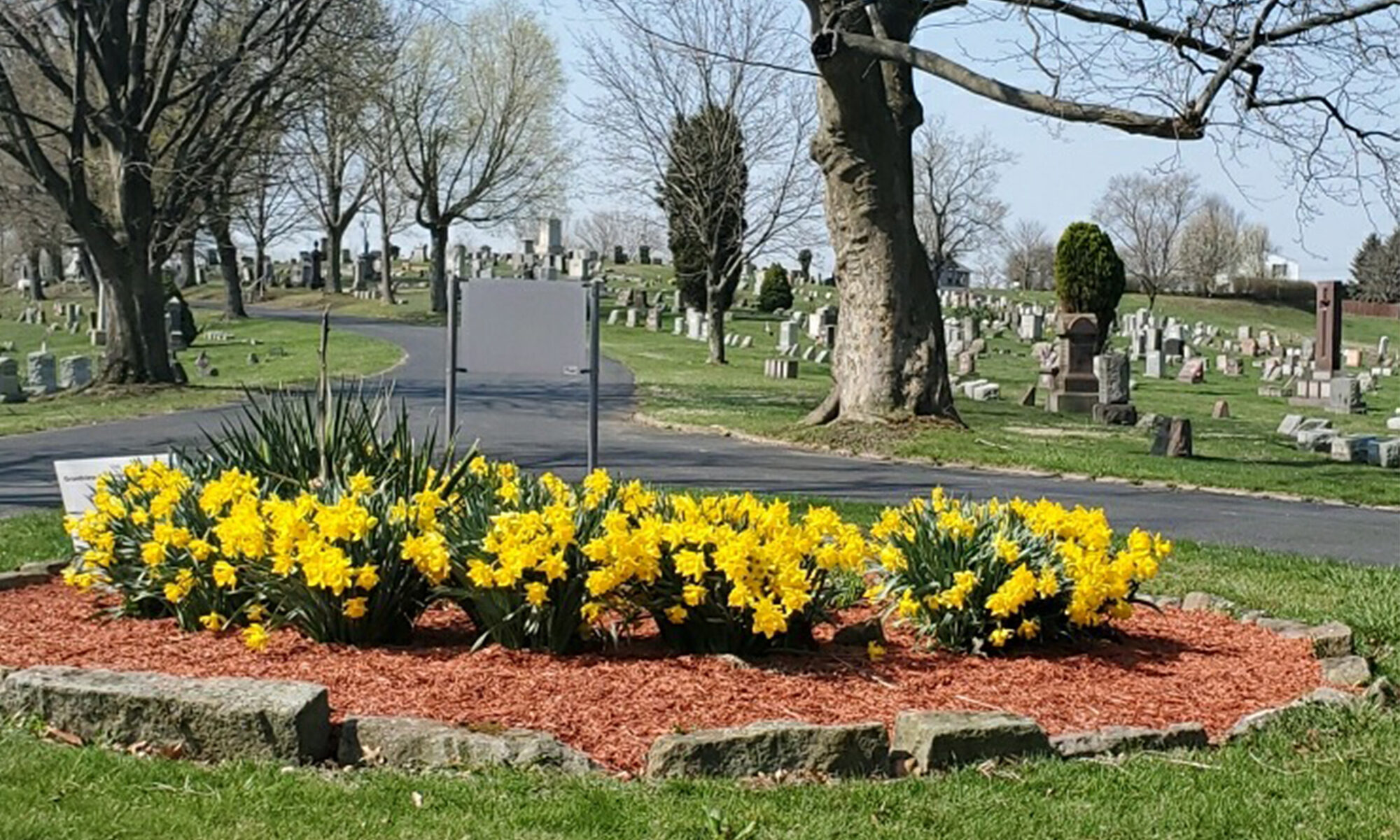 Grandview cemetary north versailles pa